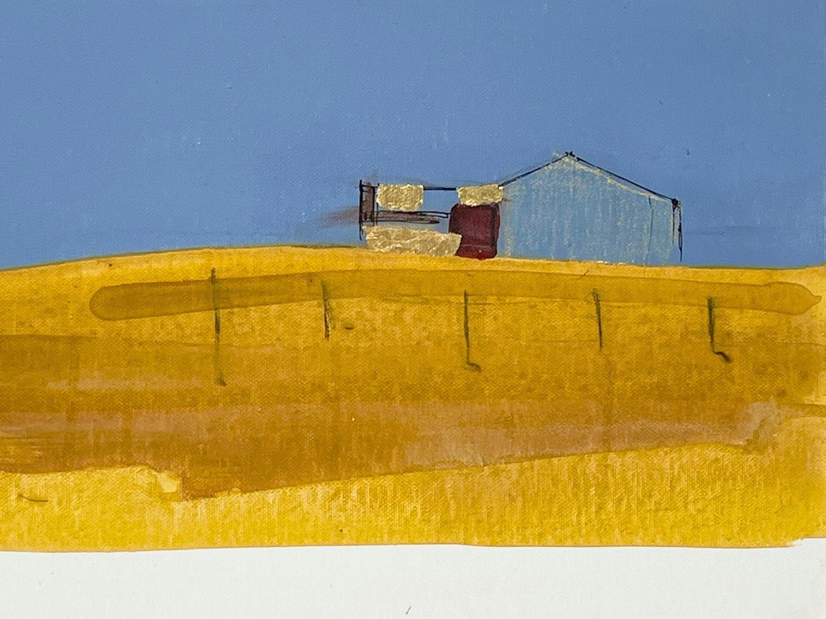 Shed by Samara Cotter at The Peisley St Gallery