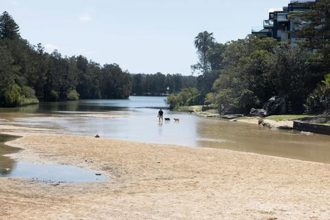 Manly Lagoon