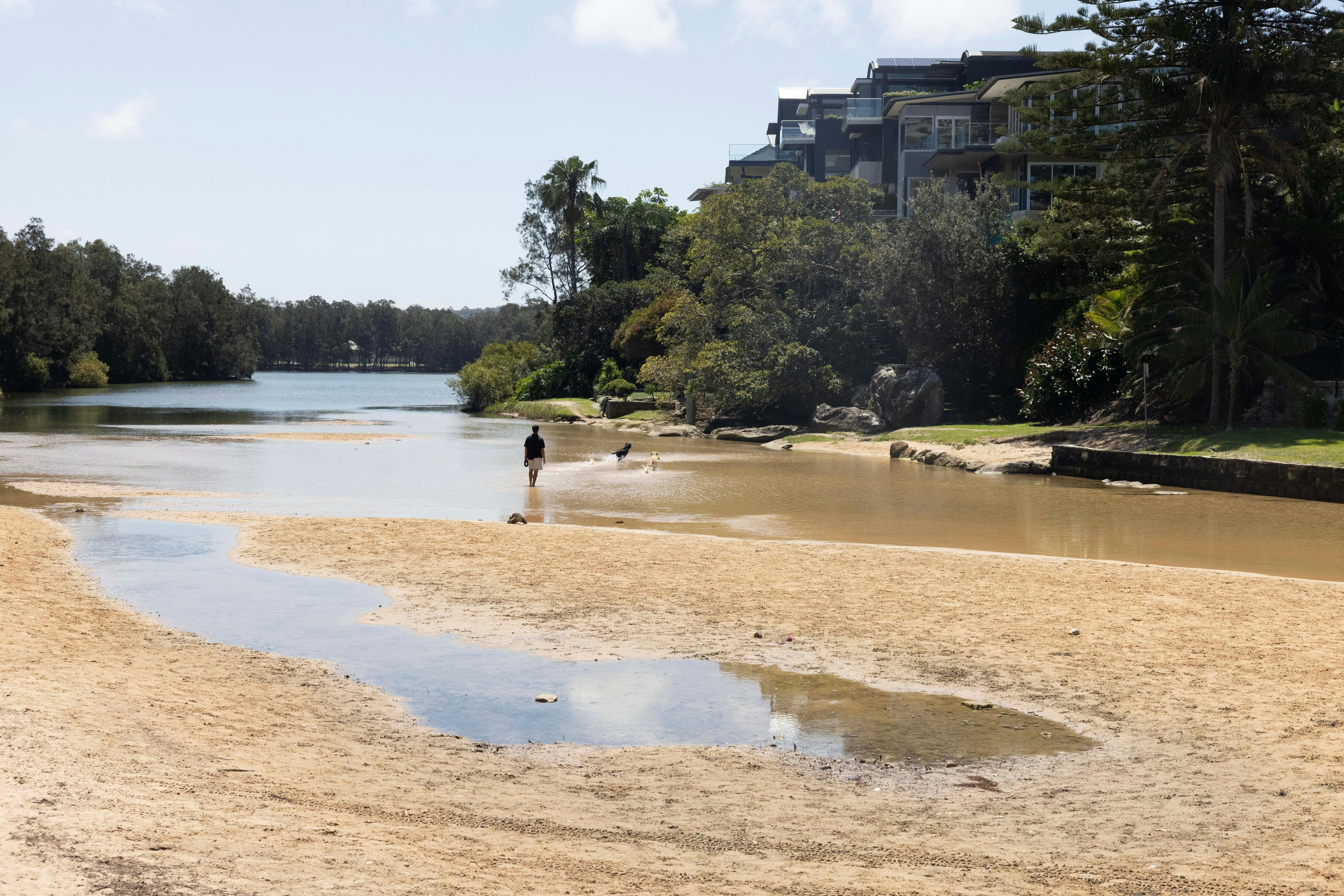 Manly Lagoon, Manly