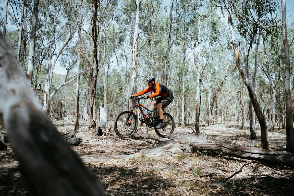 Mountain Bike Trails - Deniliquin