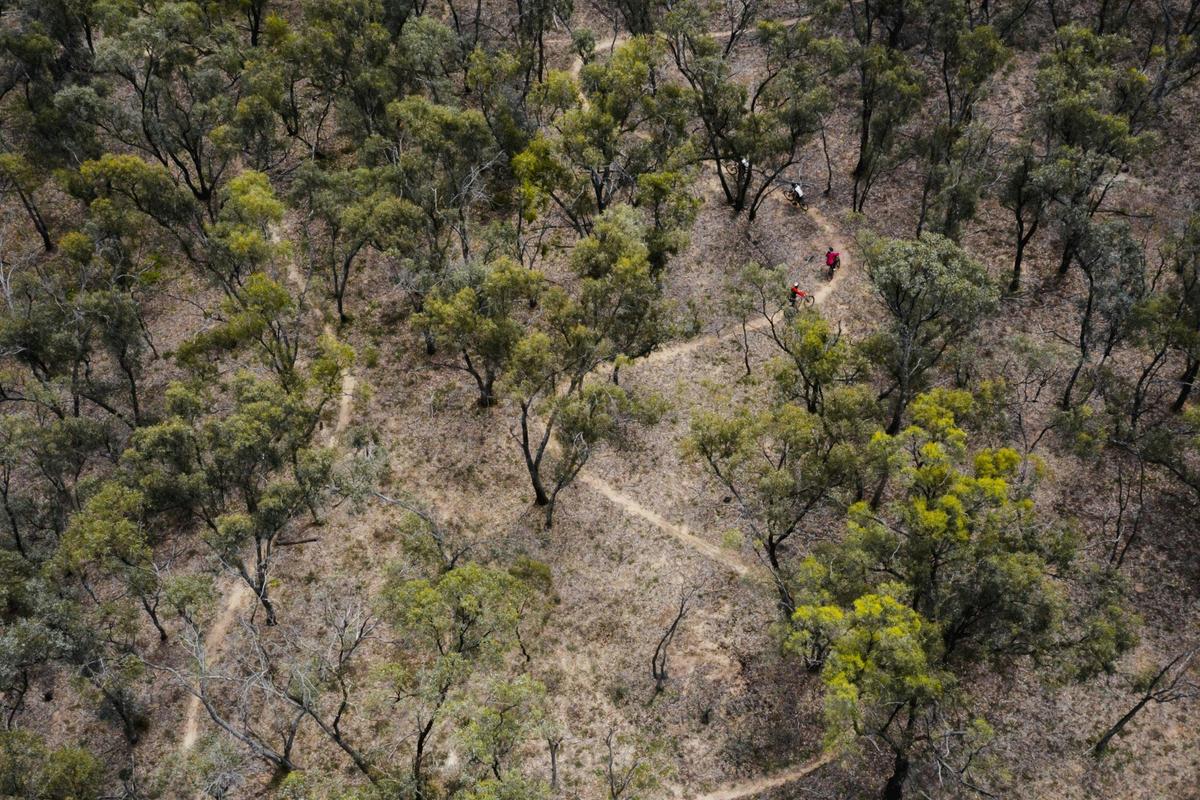 Mountain Bike Trails - Deniliquin