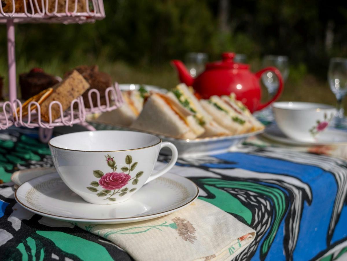 High Tea Picnic on Pambula River