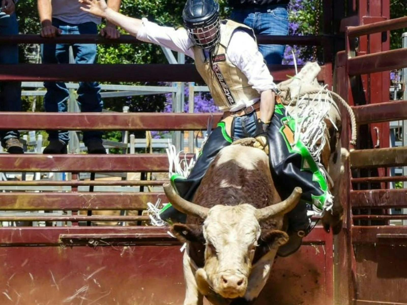 Murwillumbah rodeo