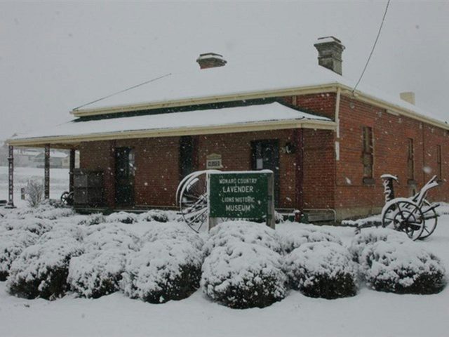 Lavender House in Railway Park