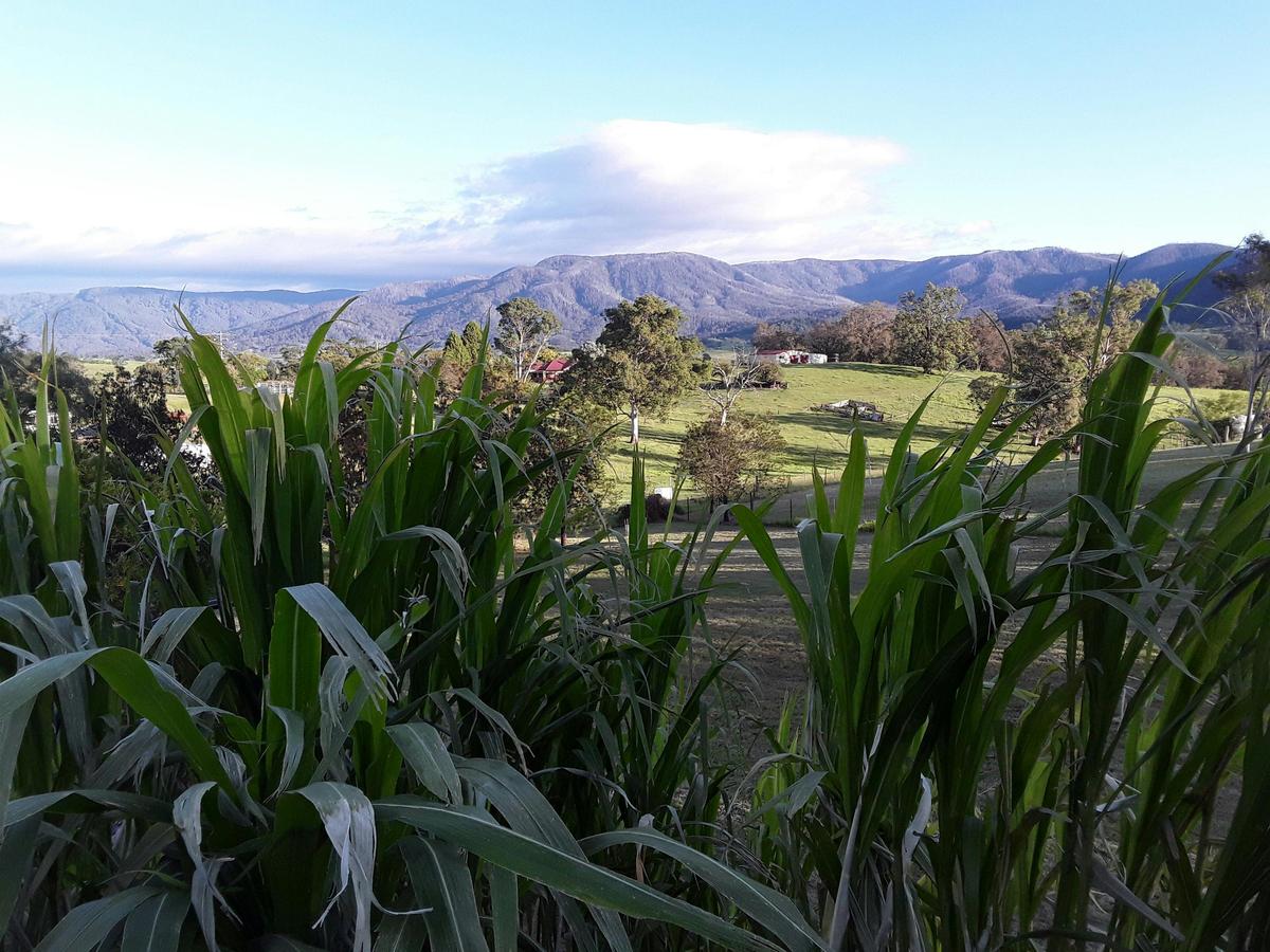 Mountain View Caravan Stay