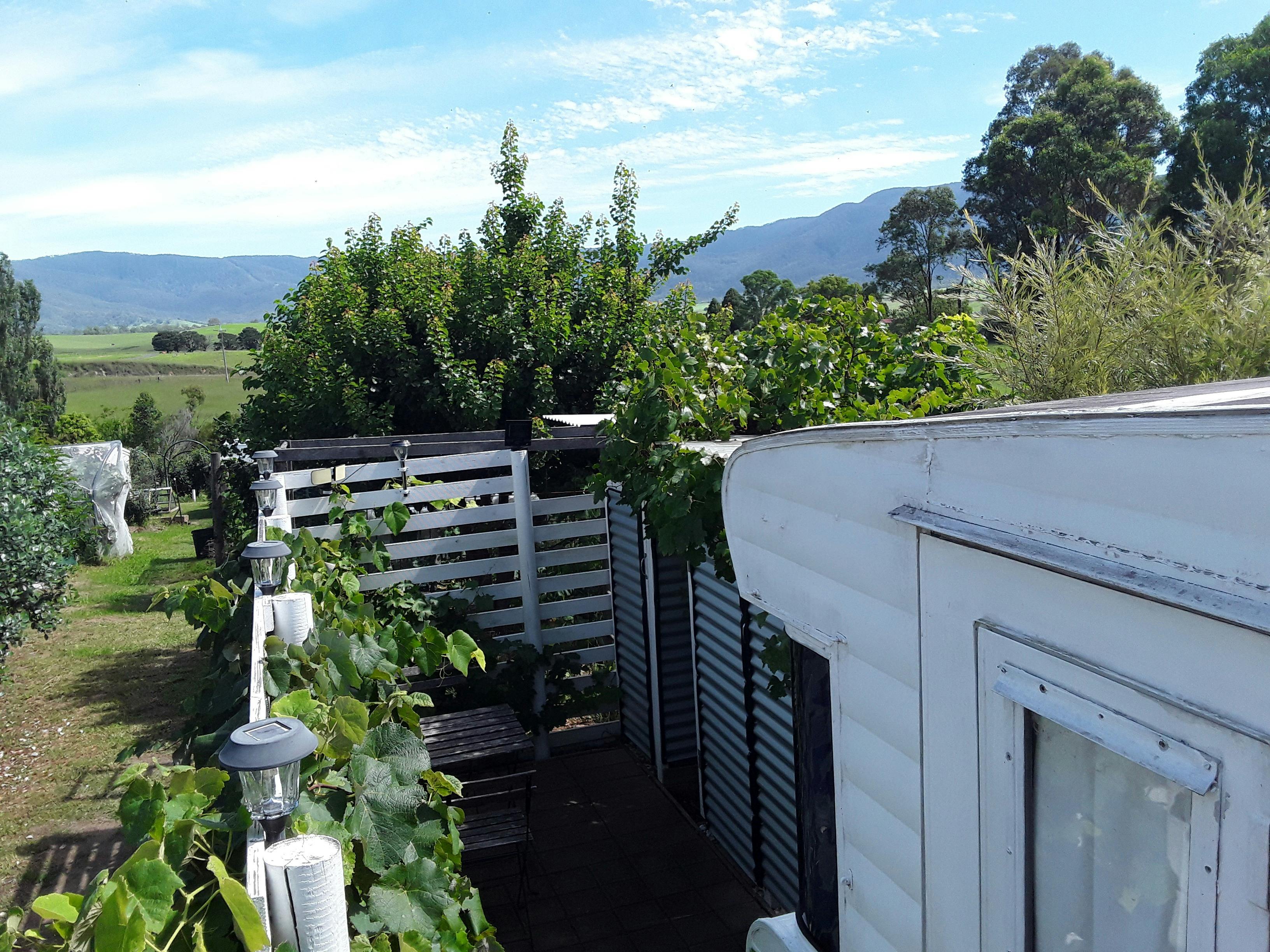 Looking toward main orchard area