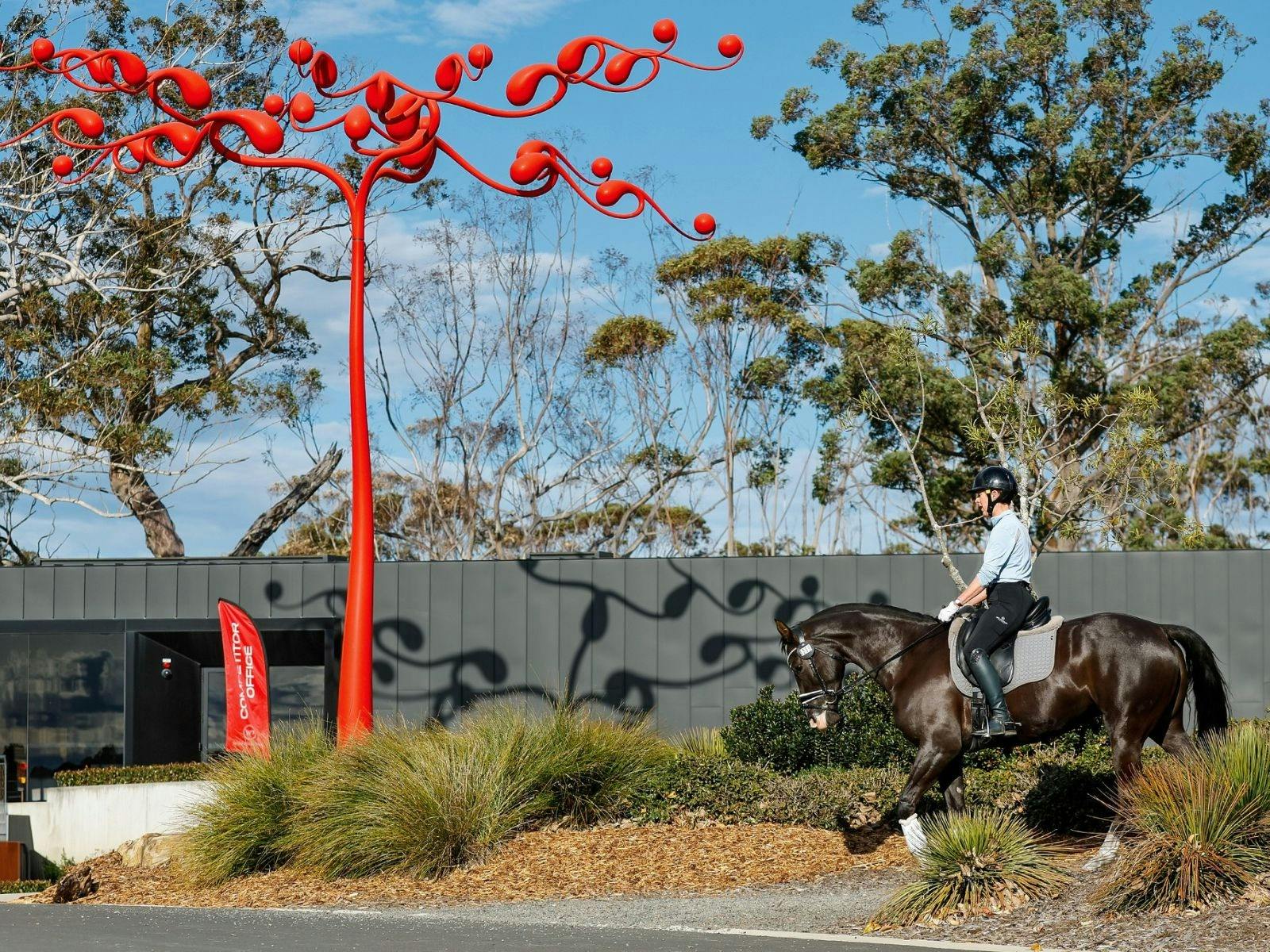 Sculptures at Willinga