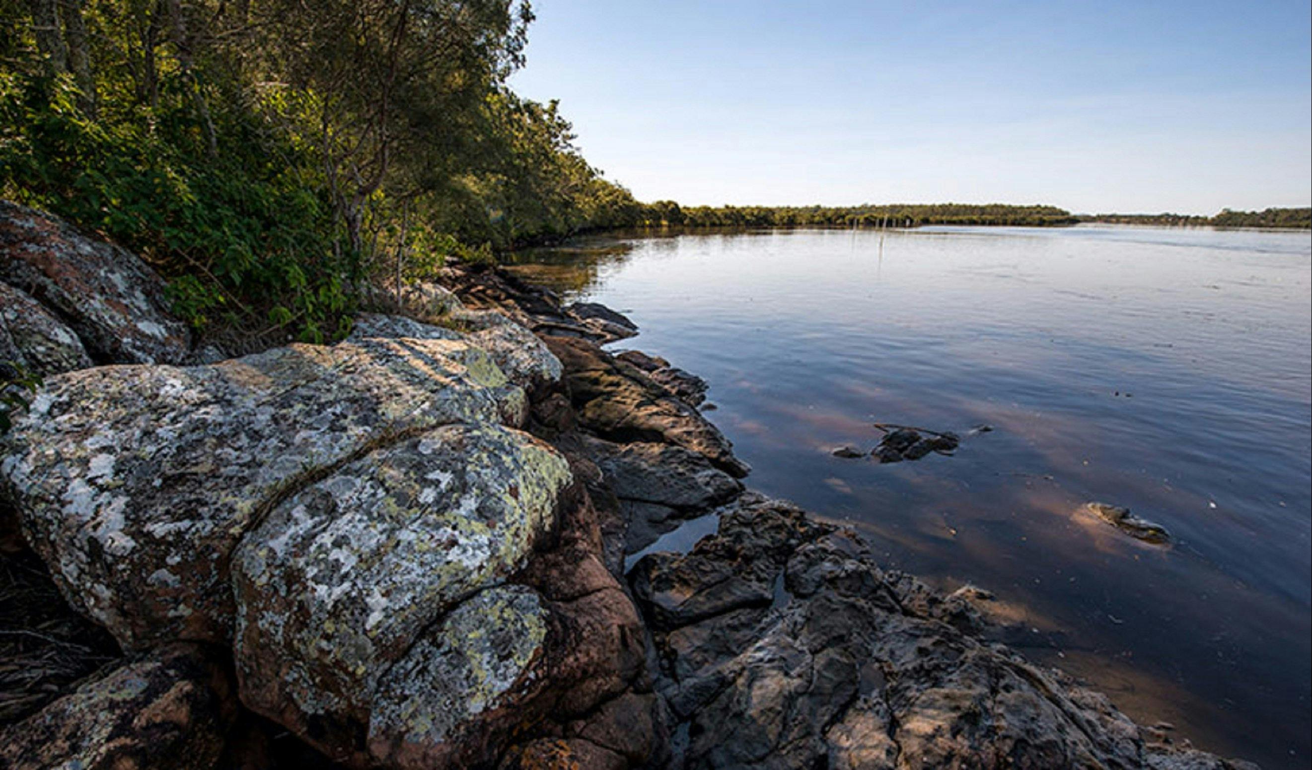 Karuah Nature Reserve