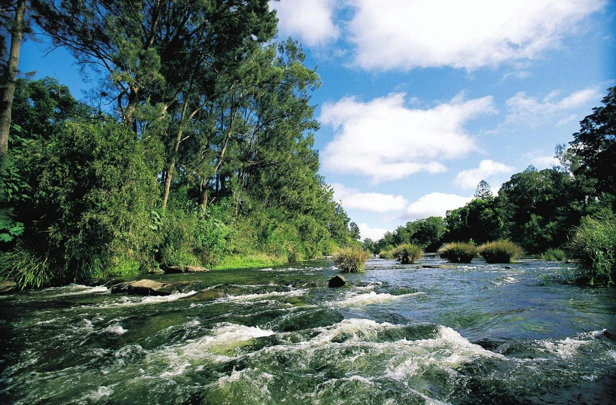 Richmond river