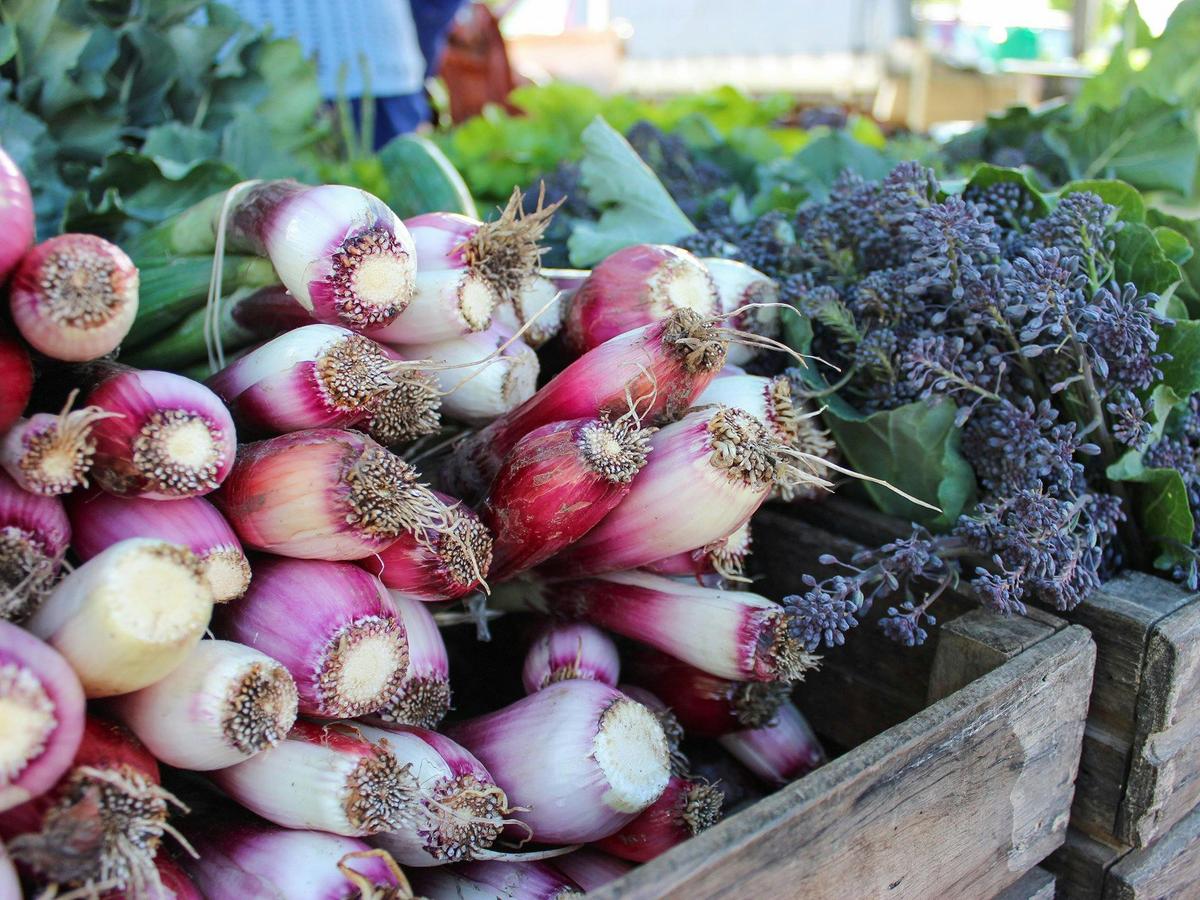 SAGE Farmers Market Moruya