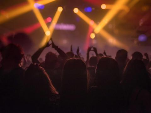 Sonic Bloom - Easter Edition