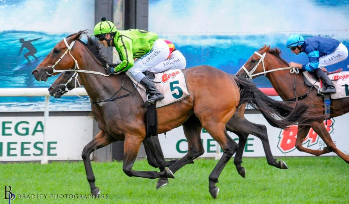Horses accross the finish line