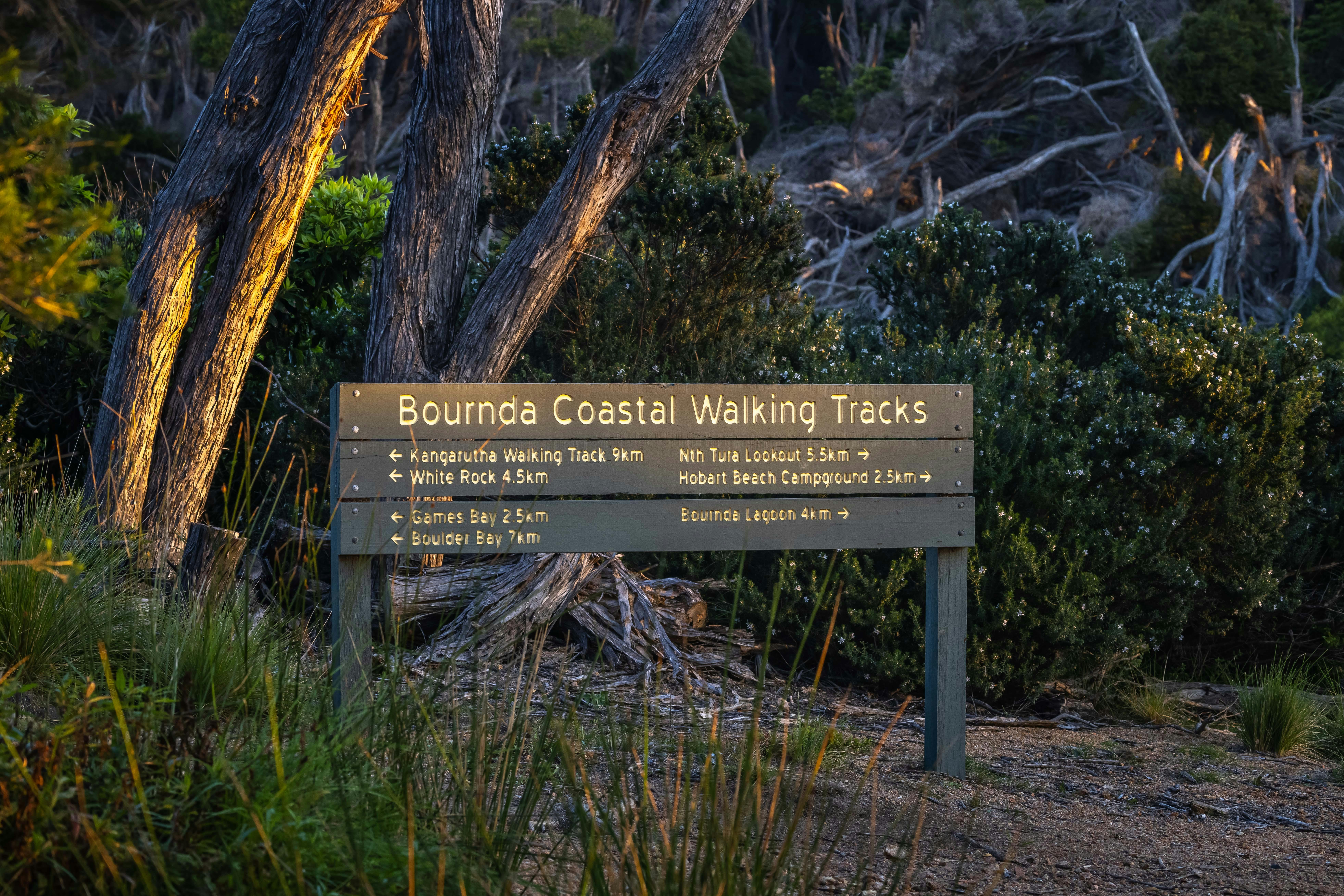 Kianinny Bay walking tracks, Bournda National Park