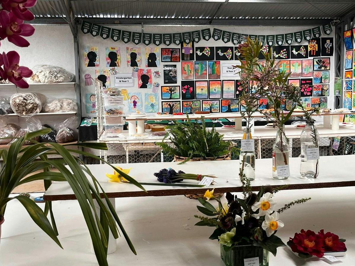 display in the pavillion