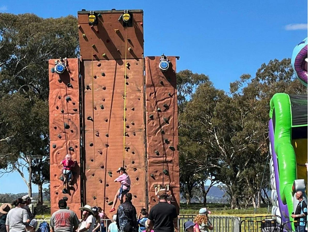 child on rock climbing wall
