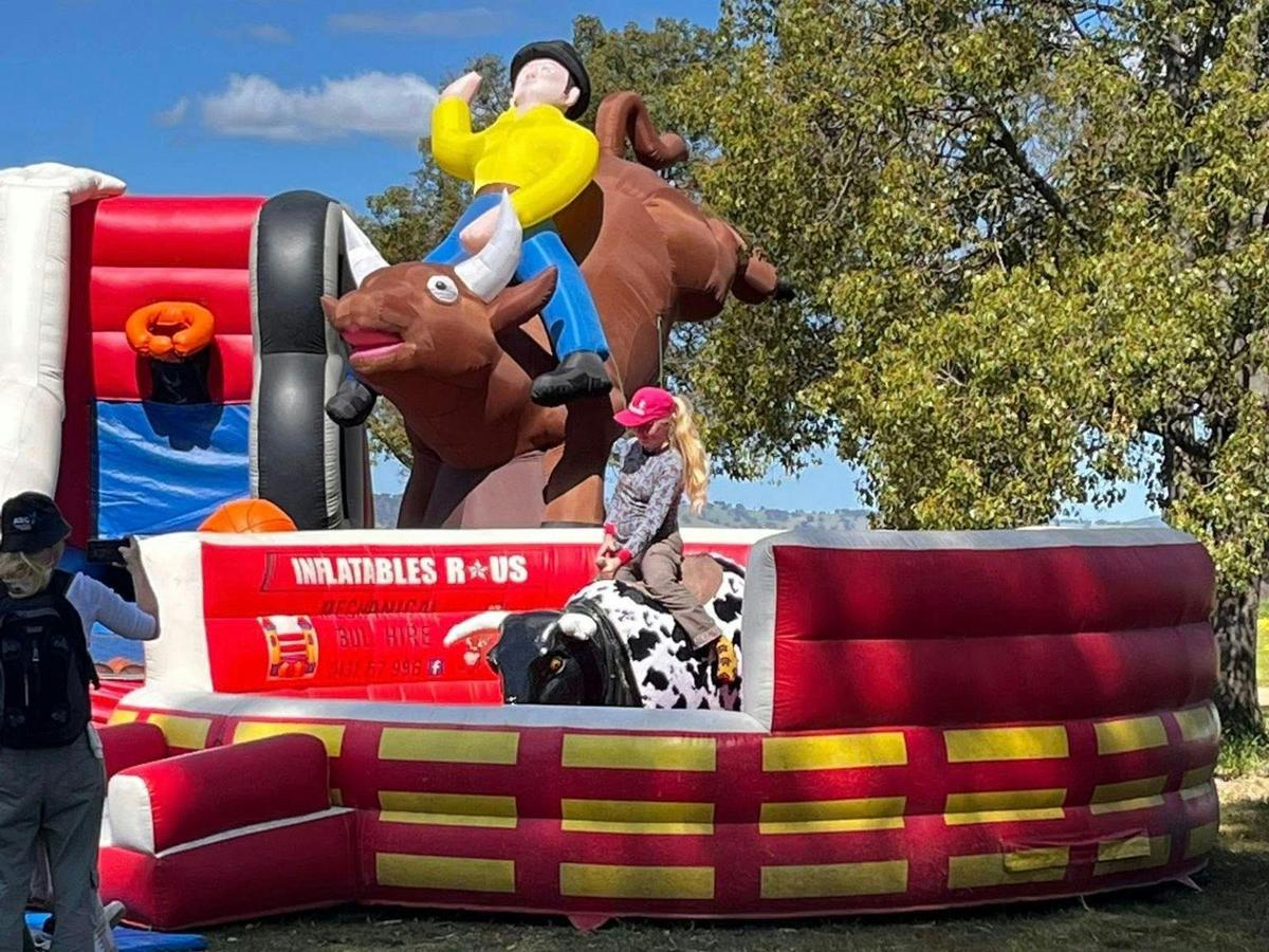 Child on mechanical bull