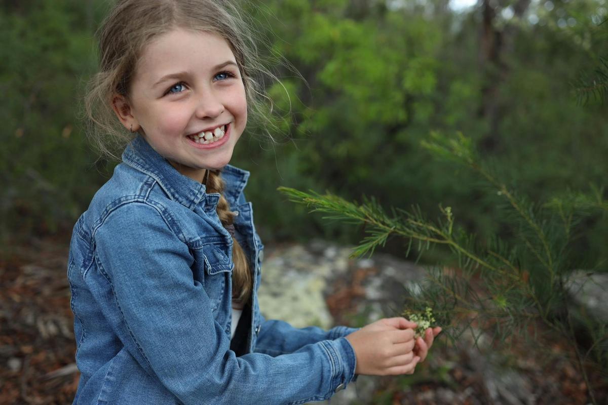 Young girl holding Australian native wattle flowers