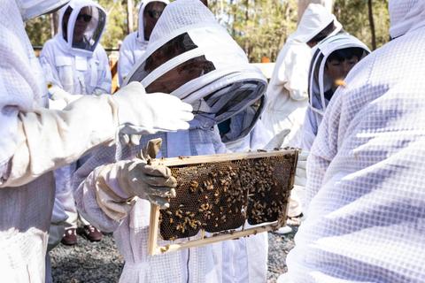 The Apiary by Bay and Bush