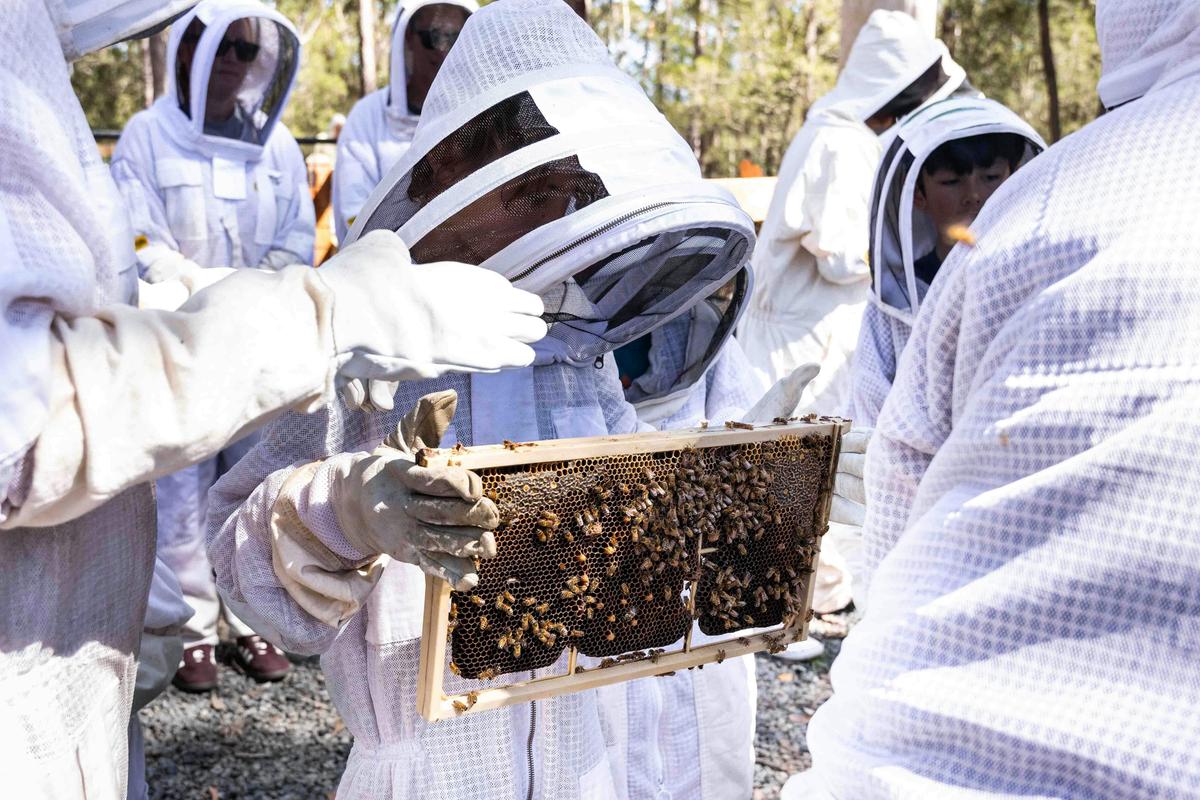 Apiary Tour