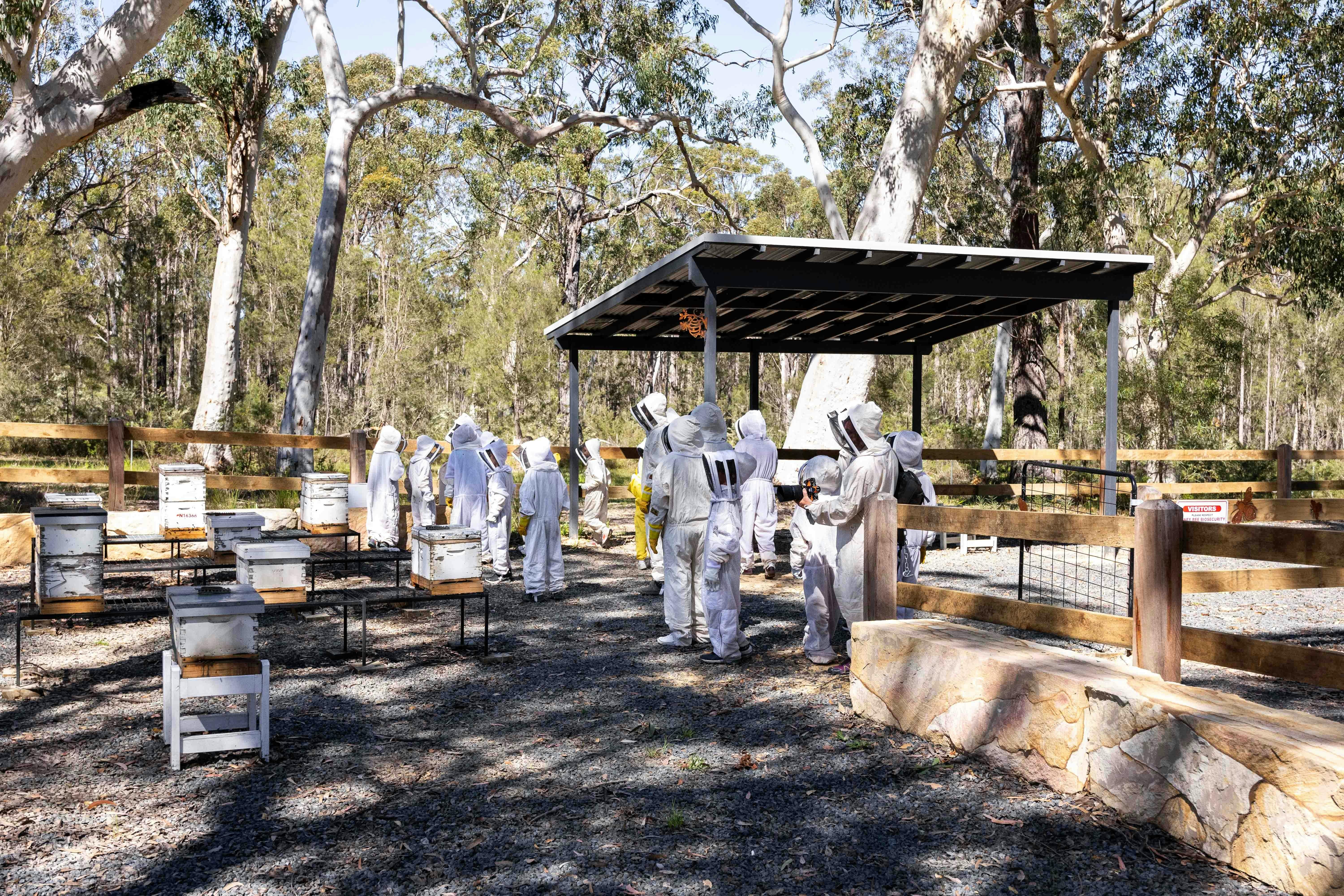 The Apiary Bay and Bush Honey producers Jervis Bay Huskisson Tasting Beekeeping