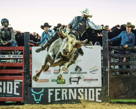 Rylstone Bull-a-rama