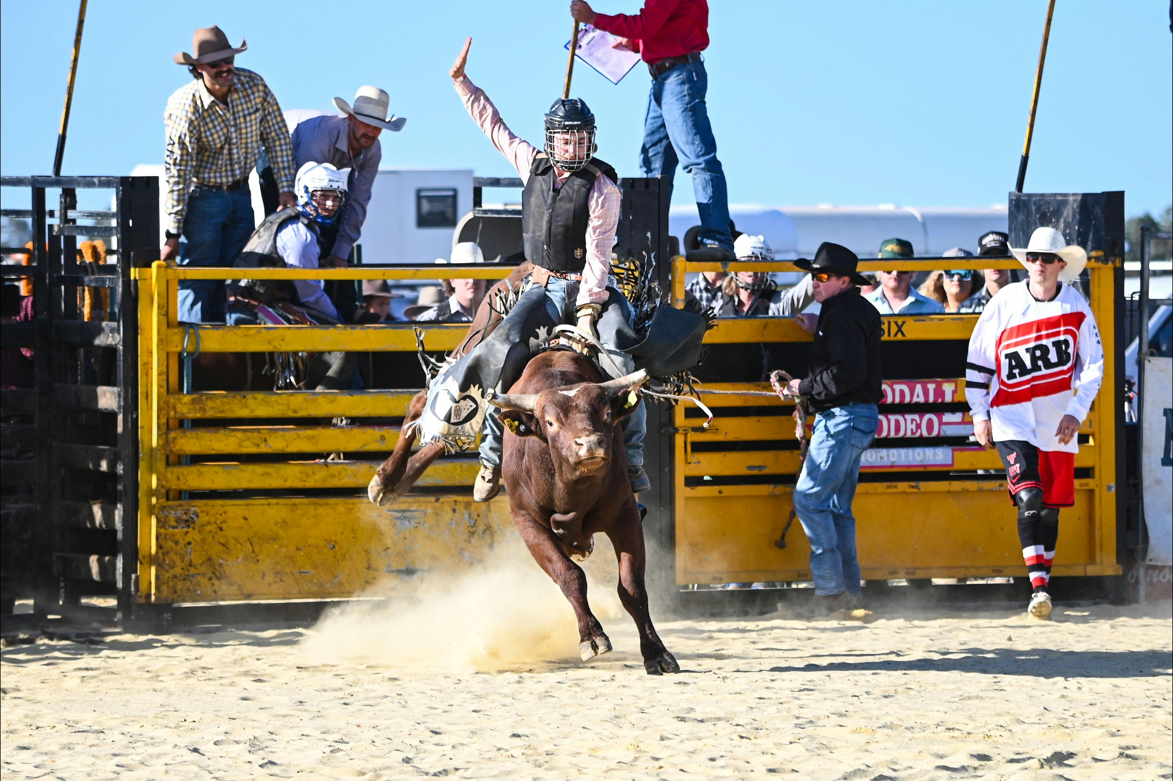 The first ride of the day a young bullrider