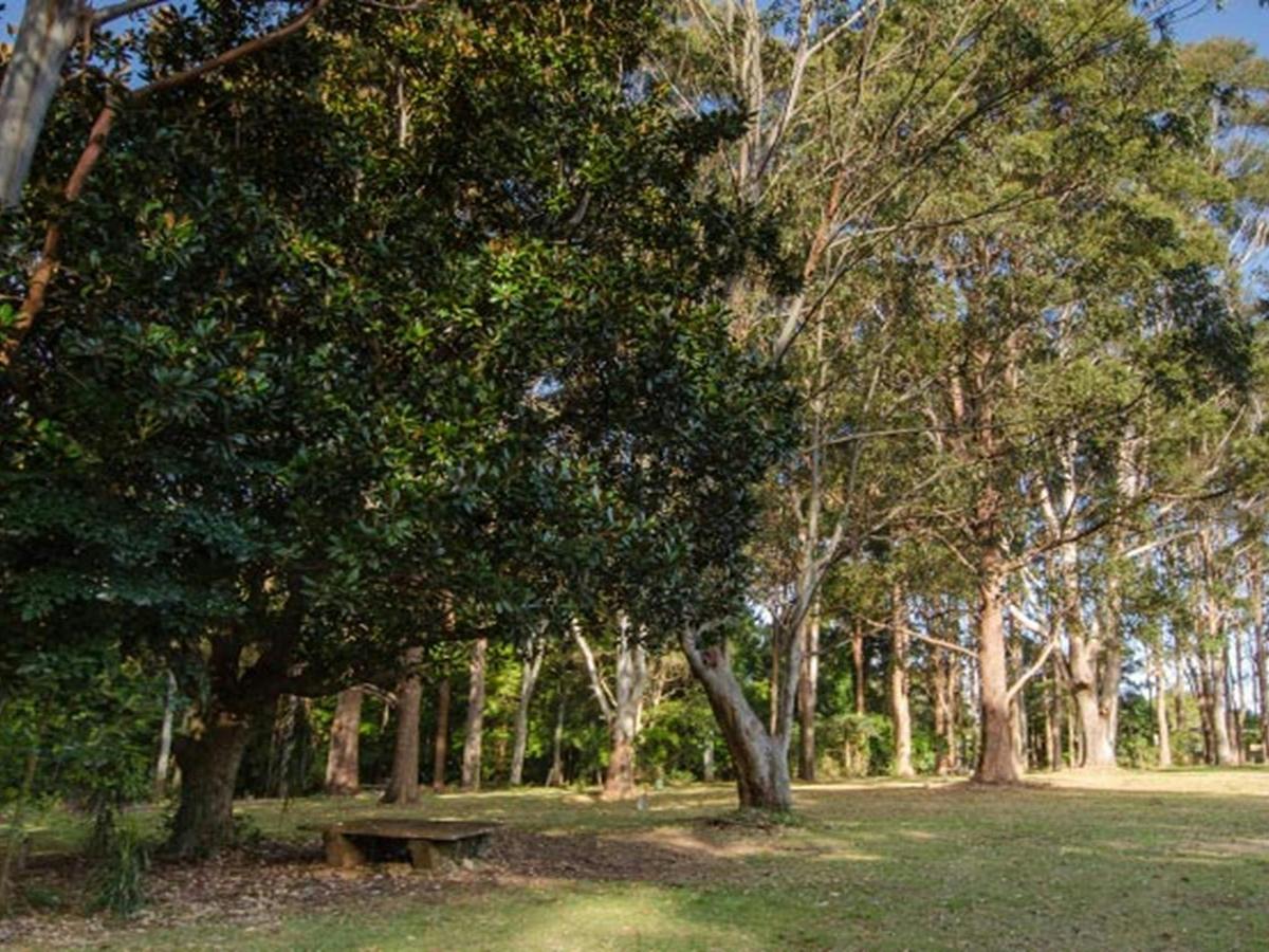 Gum trees and lawn, Macquarie Nature Reserve. Photo: John Spencer/NSW Government
