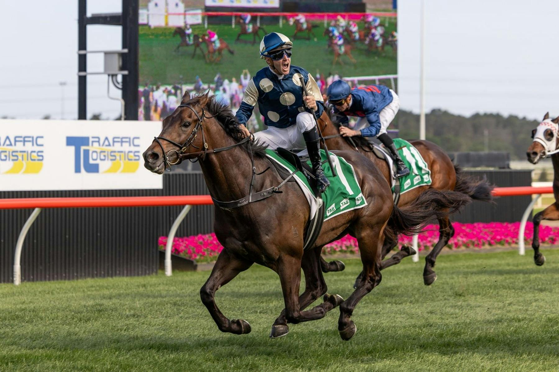 Gringotts wins The Gong in 2024