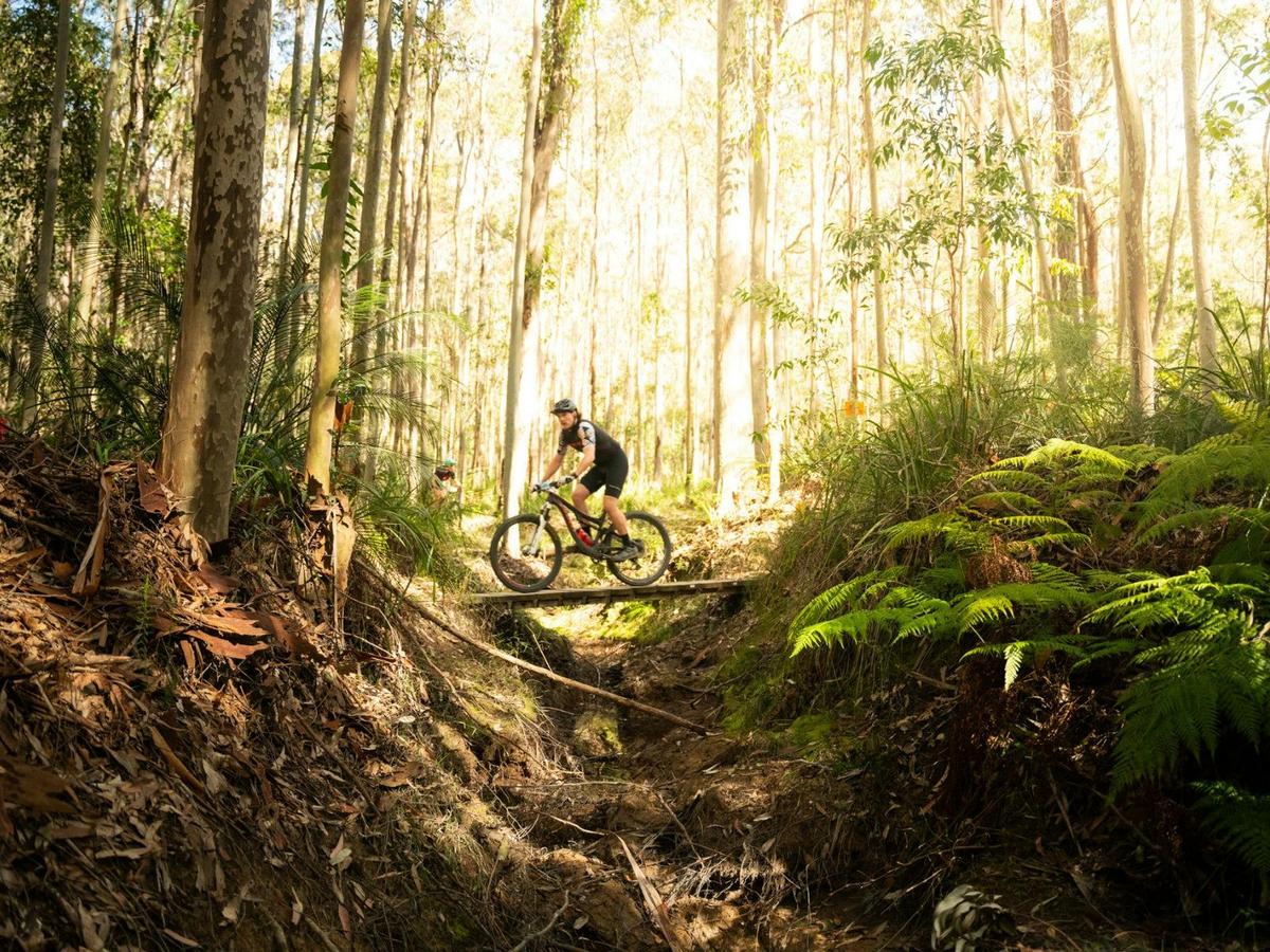 Bike Tracks Sussex Inlet