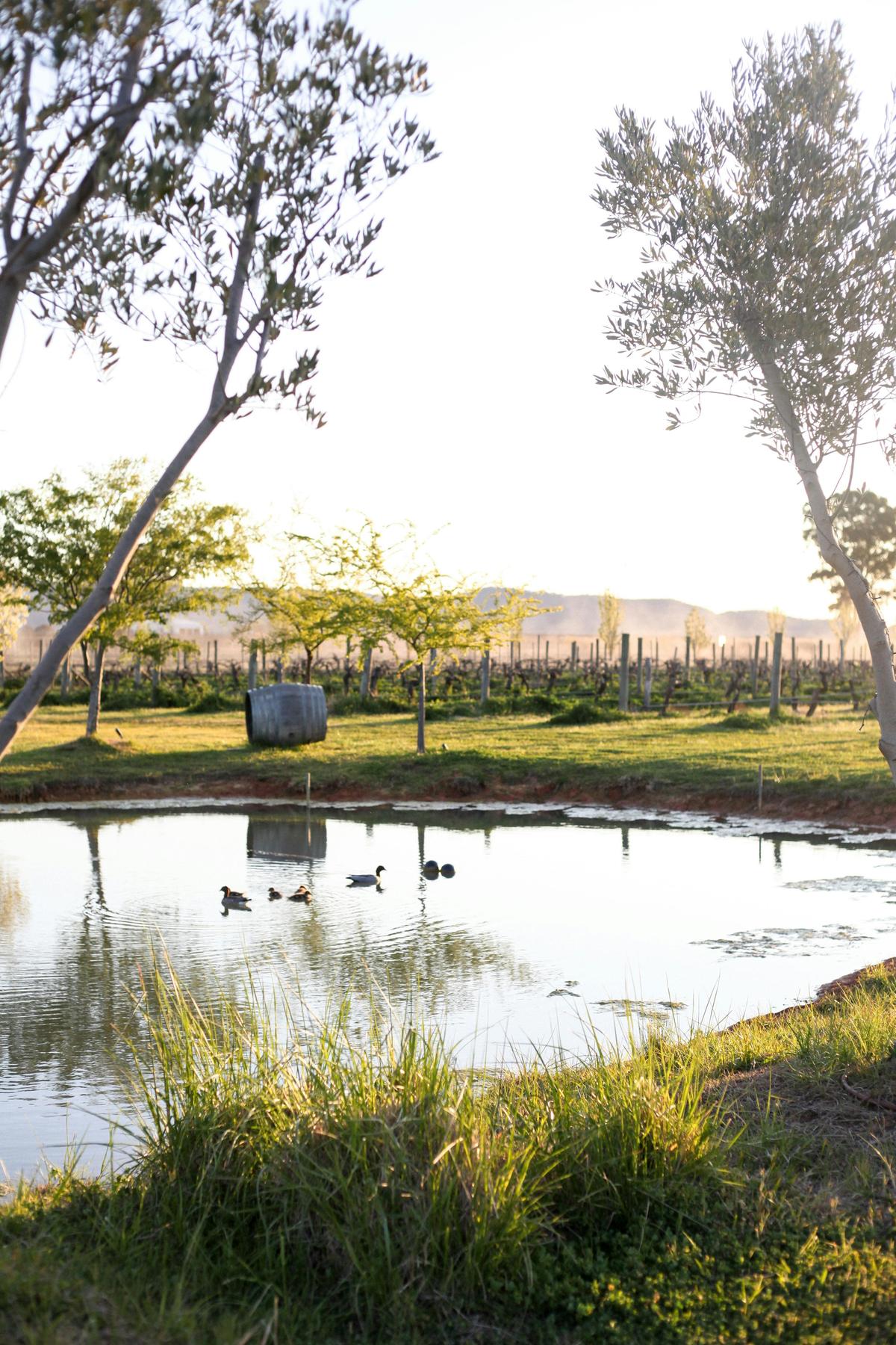 Yeates Wines Cellar Door Mudgee NSW