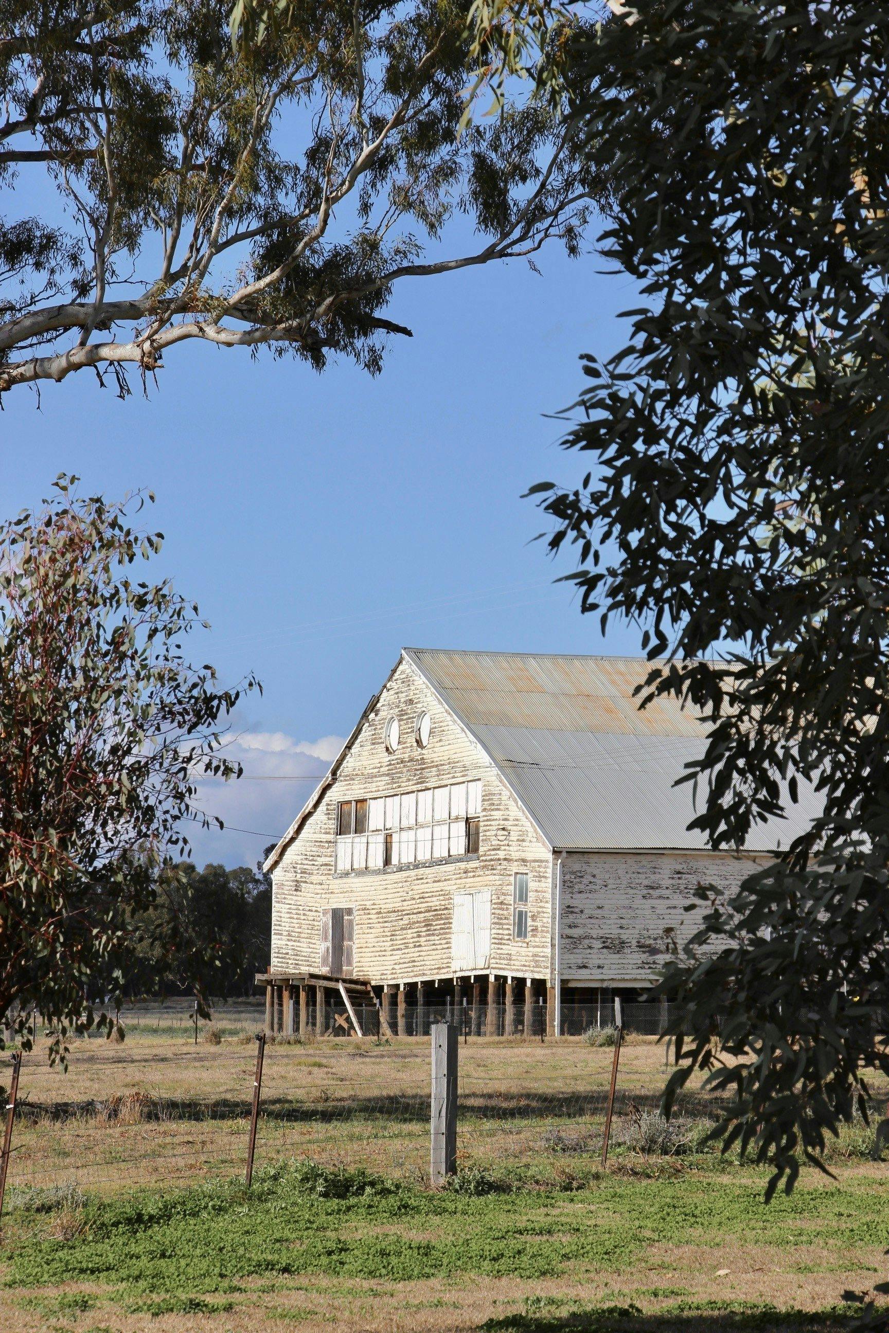 View of the Woolshed