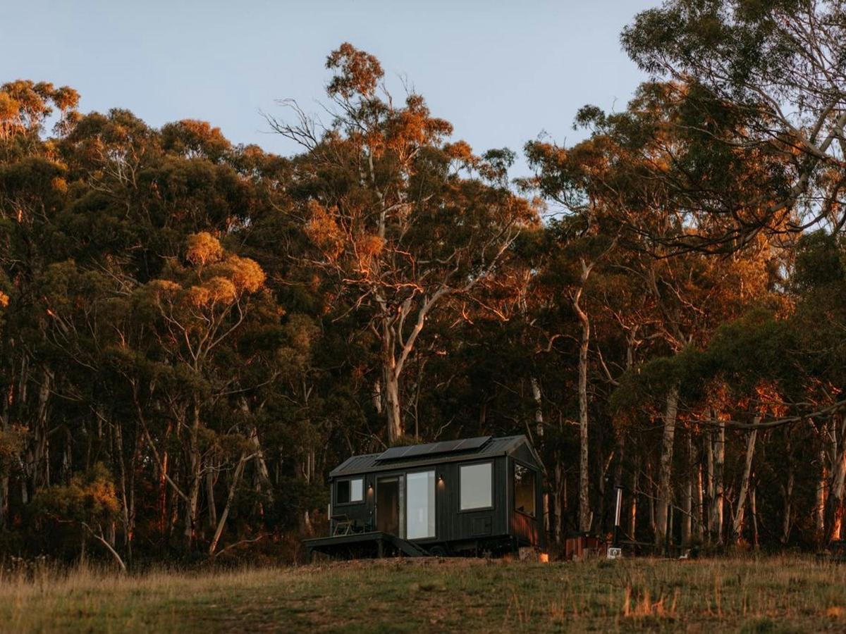 Vera Cabin