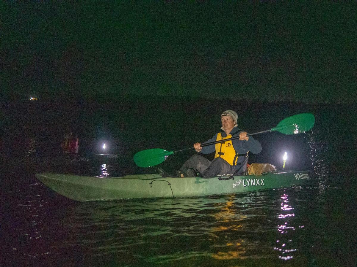 Stargazing and night sounds from the water.