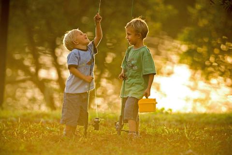 Wilsons River Experience Walk