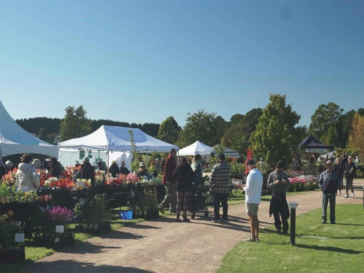Autumn Open Gardens Weekend Plant Fair