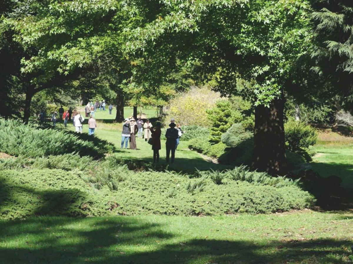 The Willows Garden in Robertson