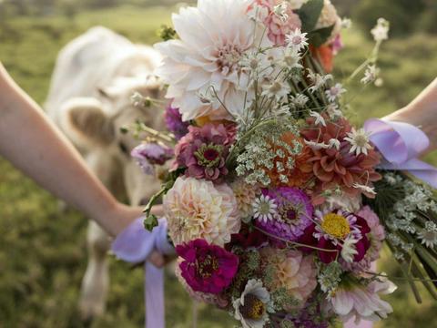 Abergail Farm - Coos and Bloom