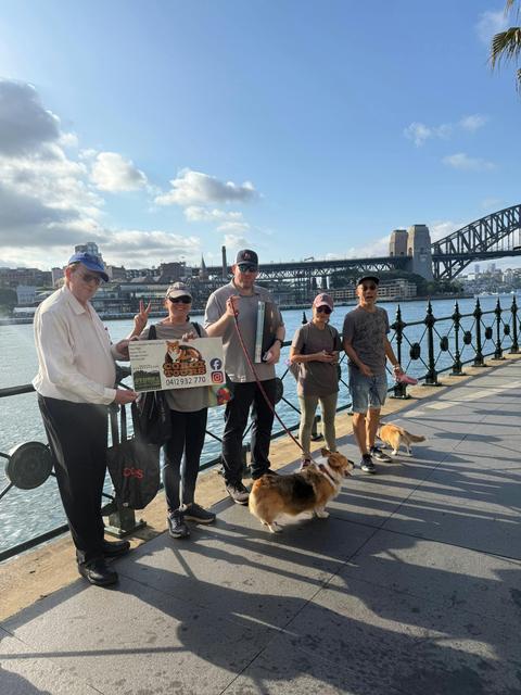 Corgi Tours
