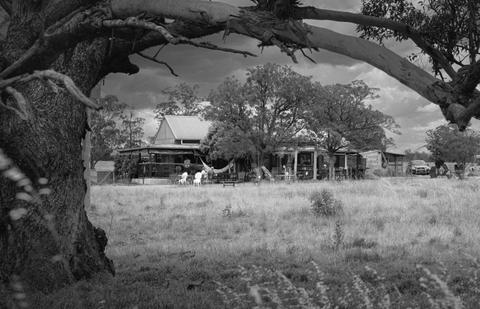 From the Paddock Cafe