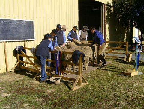 Holbrook Sheep and Wool Fair
