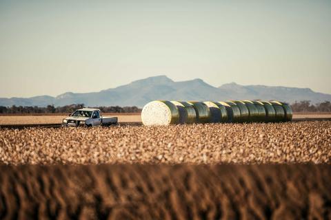 Narrabri Region Farm Tours