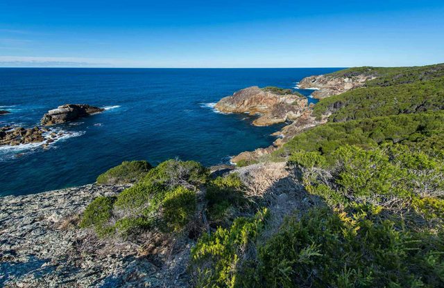 Kangarutha Walking Track
