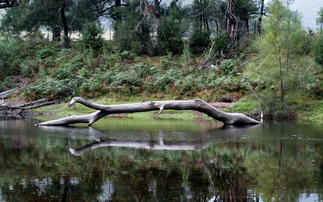 Kayaking Upper Tuross River and Bumbo Lake