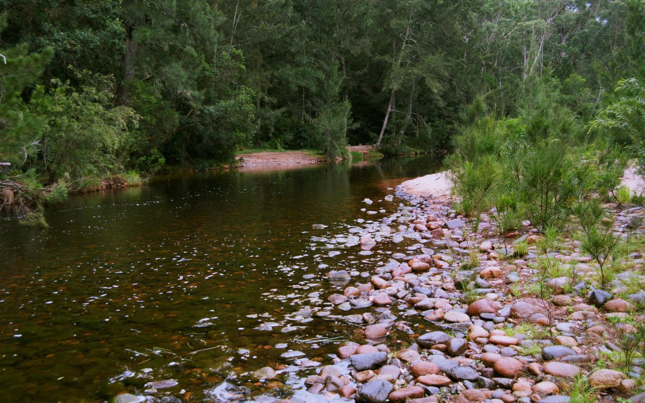 the crossing