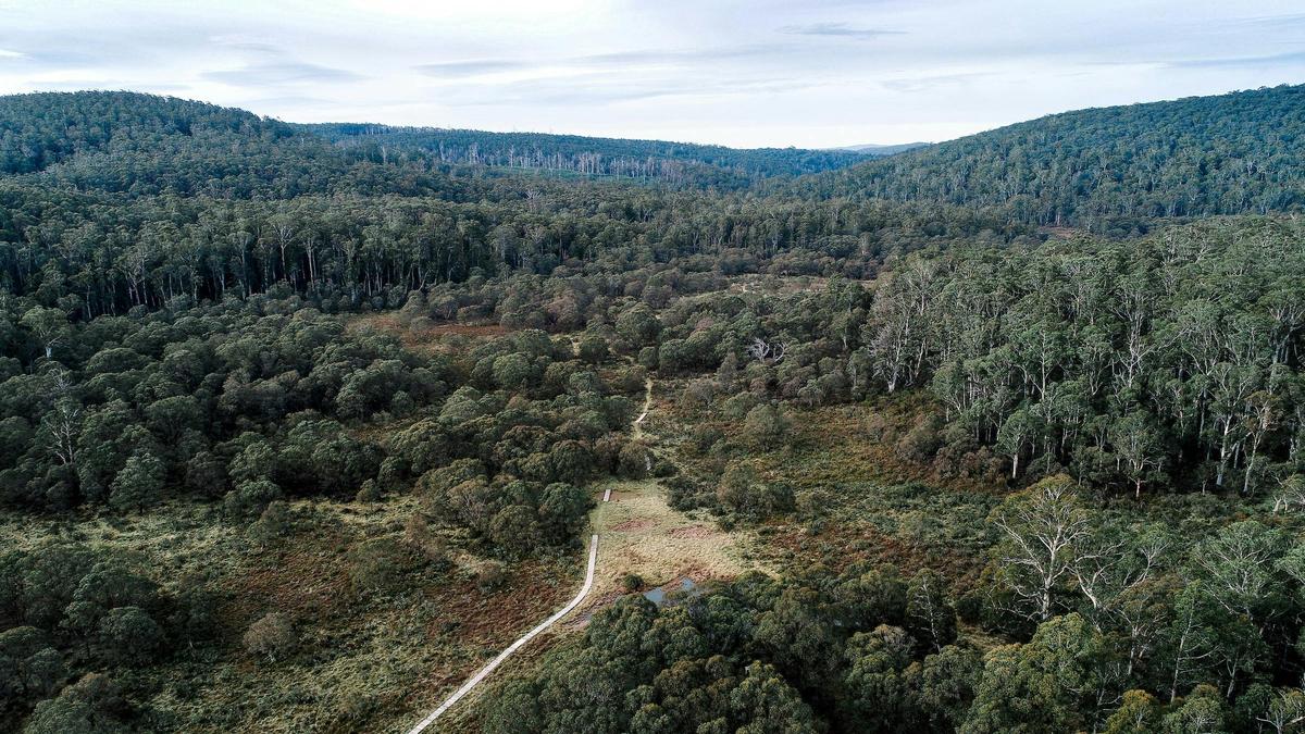 Bentley Plain loop walk