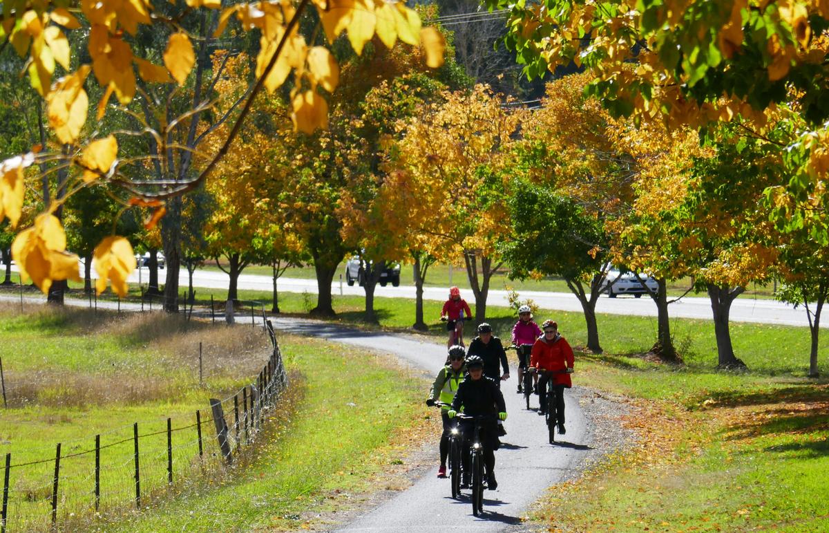 Autumn on the Rail Trail
