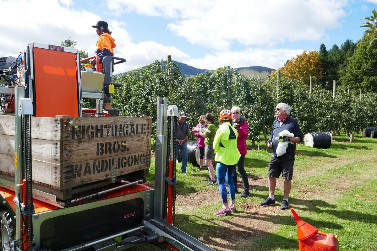 Meet the orchardist and enjoy an apple fresh off the tree