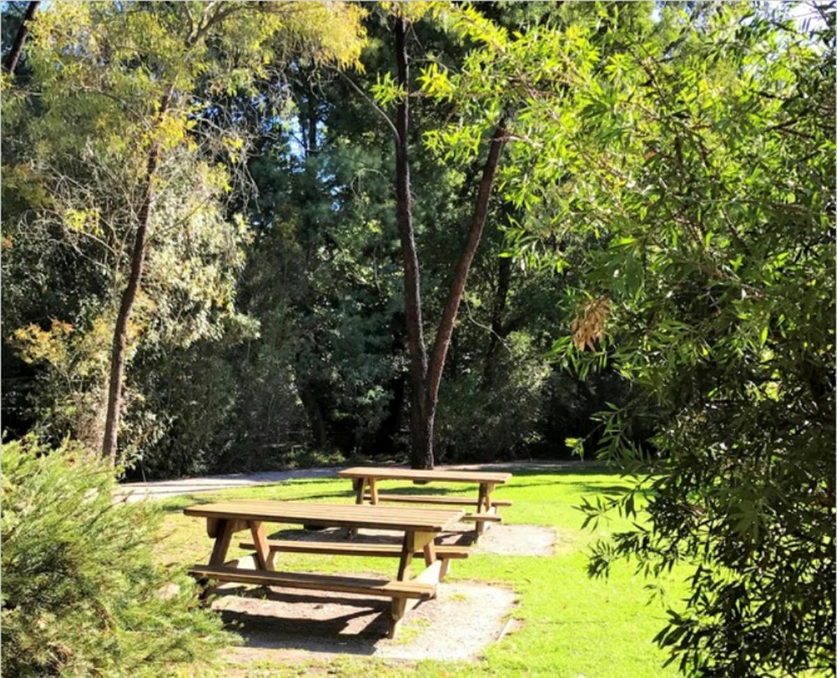 Delightful outdoor seating overlooking Grace Burn creek