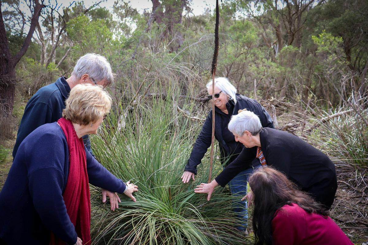 Visitors explore native bush botanicals with Bocara Cultural Walking Tours.