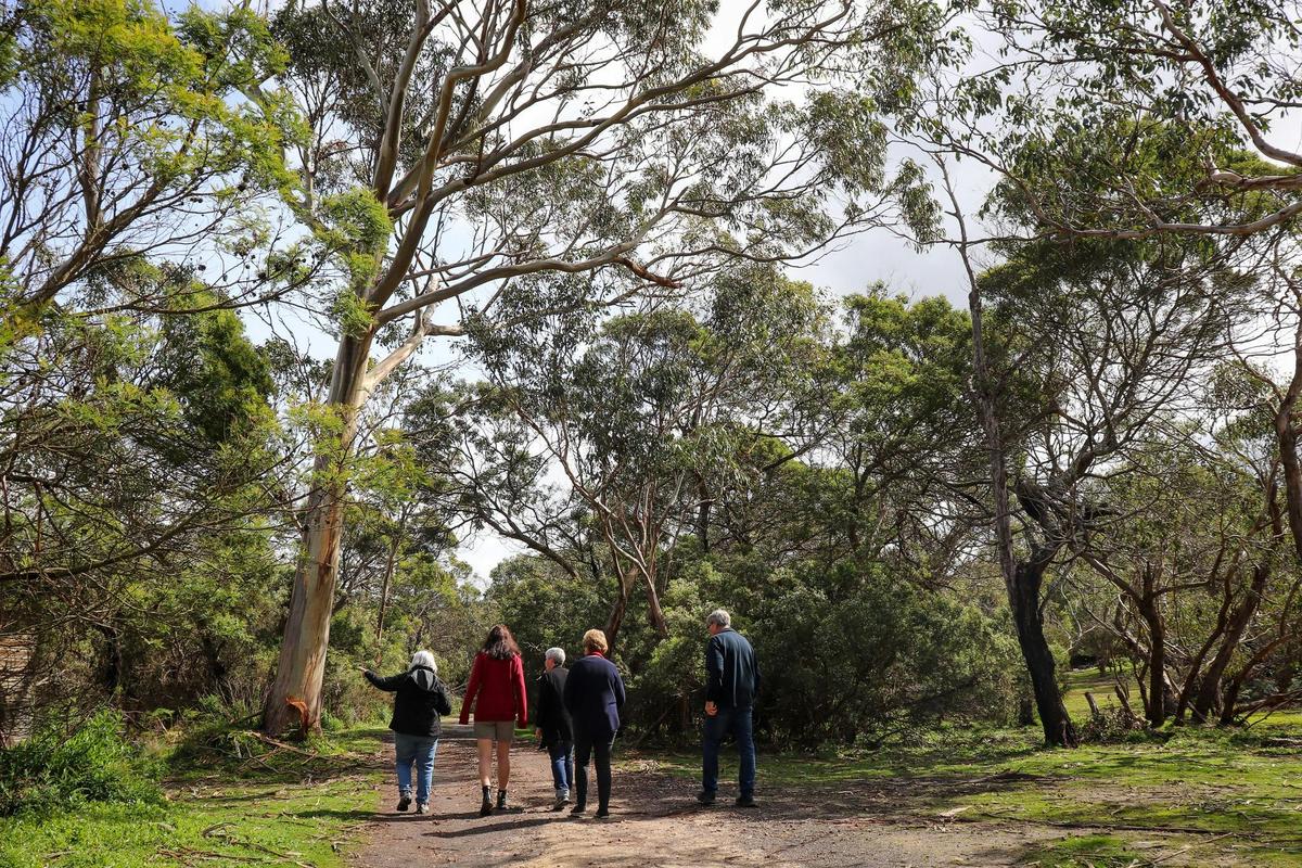 Bocara Cultural Walking Tours' guests walk on Country.